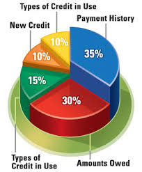 35% - Payment History